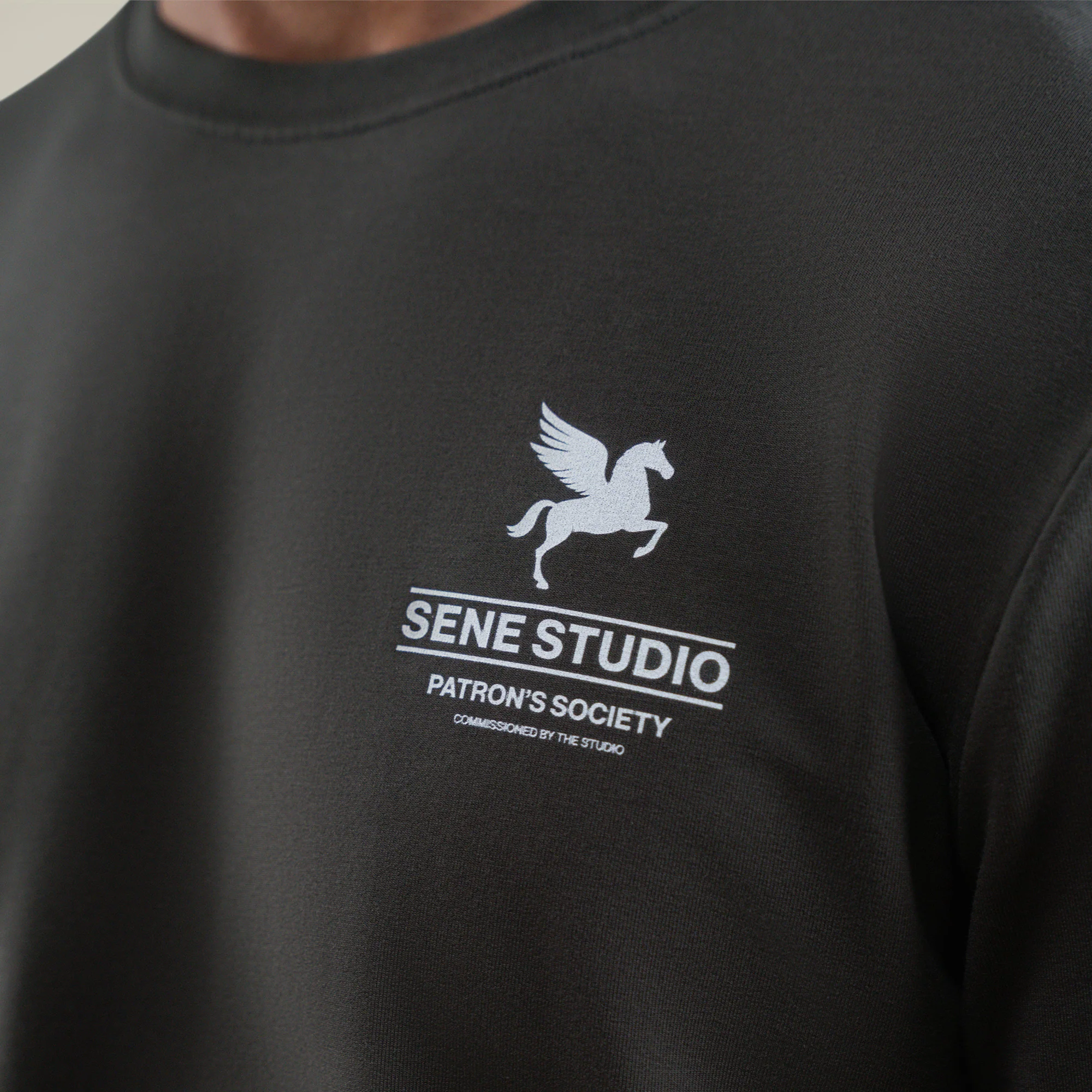 Patron’s Society Cumulus Pullover - Image 22